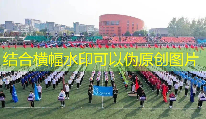 相同平衡不同重量的网球拍