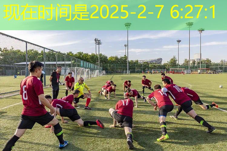 爱游戏ayx集团：小熊拿着网球拍拍手