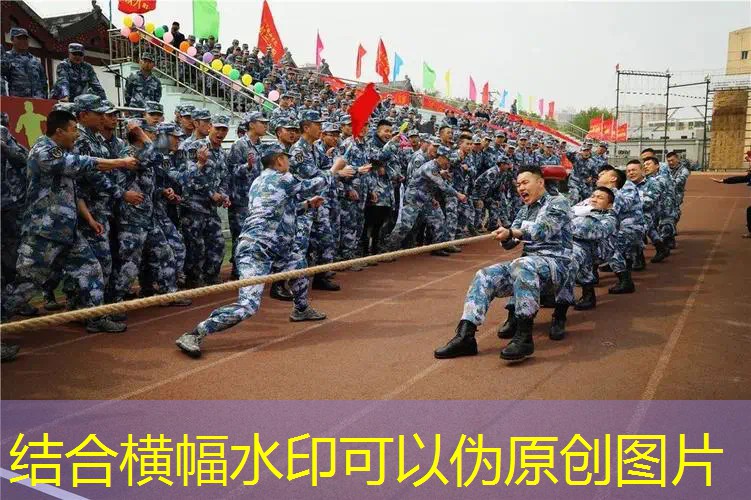ayx爱游戏公司：尤尼克斯网球拍90