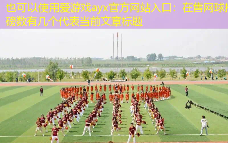 爱游戏ayx官方网站入口：在售网球拍磅数有几个