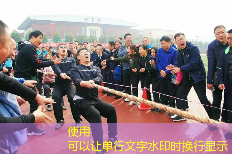 爱游戏ayx总部：碳纤维和全碳素网球拍