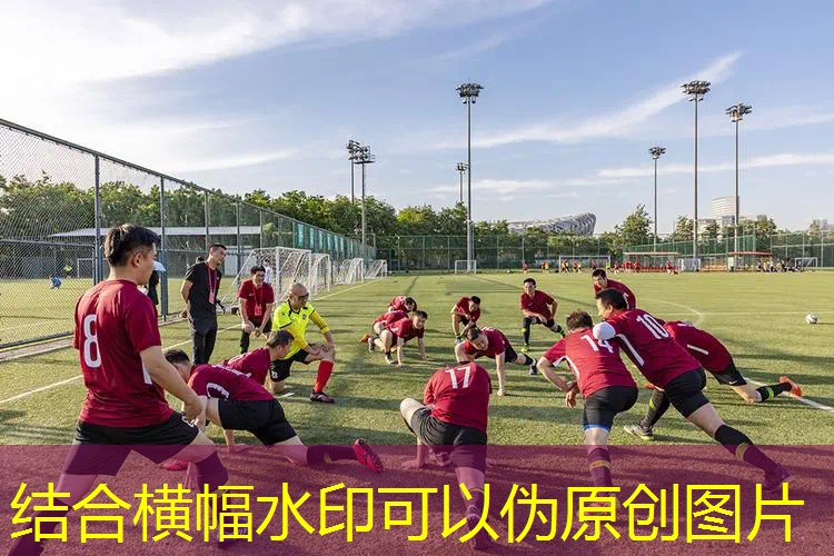爱游戏ayx官方全站：儿童网球拍威尔逊