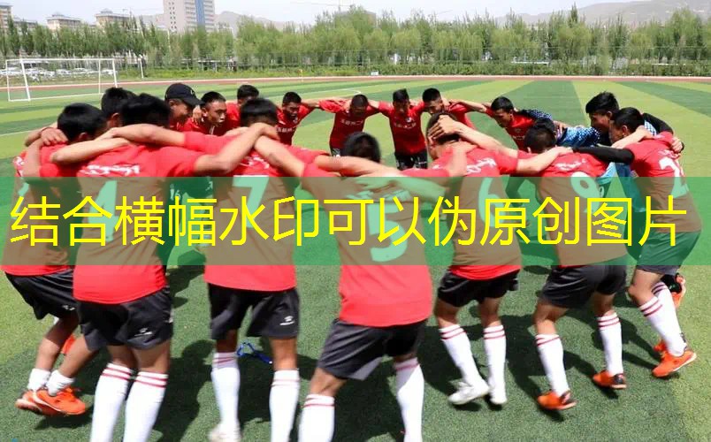 爱游戏中国官方网站：百宝力专业网球拍正品