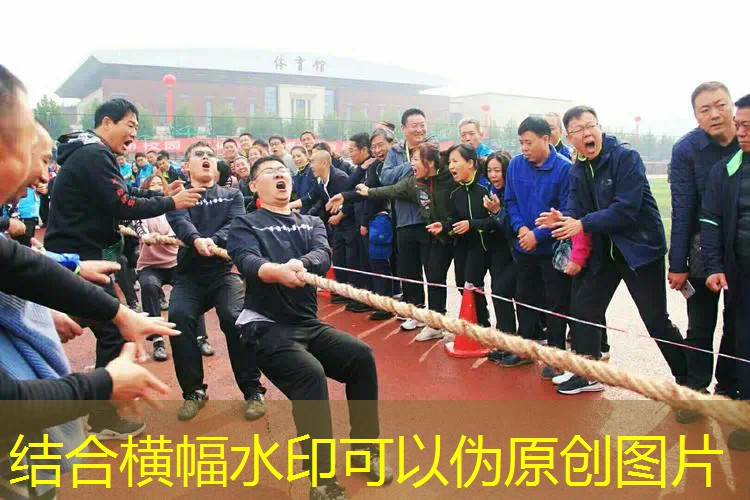 爱游戏中国官方网站：网球拍内部参数设计图