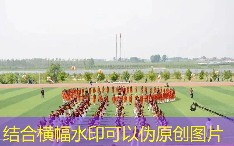 网球拍跟羽毛球拍一样么