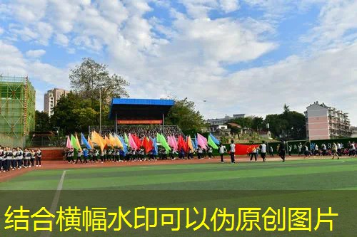 大人单球网球拍哪个好