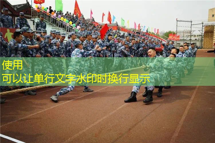 爱游戏ayx官方全站：网球拍拍头框可以换吗_