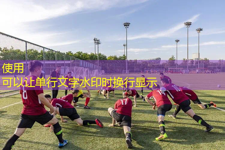 爱游戏ayx官方全站：天龙网球拍单人训练器安装