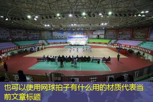 网球拍子有什么用的材质