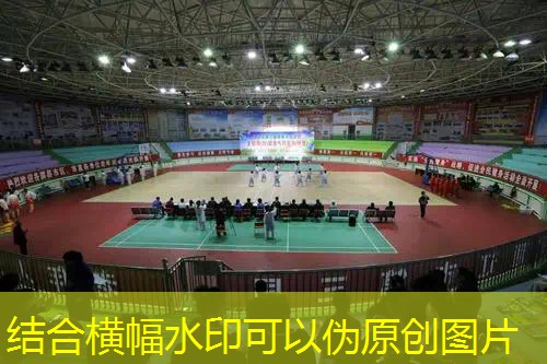 万金油网球拍
