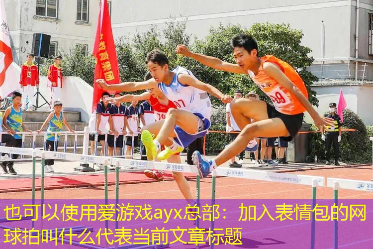 爱游戏ayx总部：加入表情包的网球拍叫什么