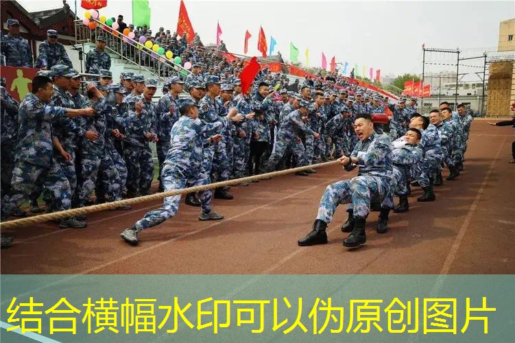 爱游戏ayx官方全站：伟士世纪龙网球拍价位