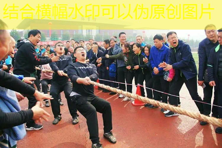 爱游戏ayx官方全站：德约用过的网球拍怎么样