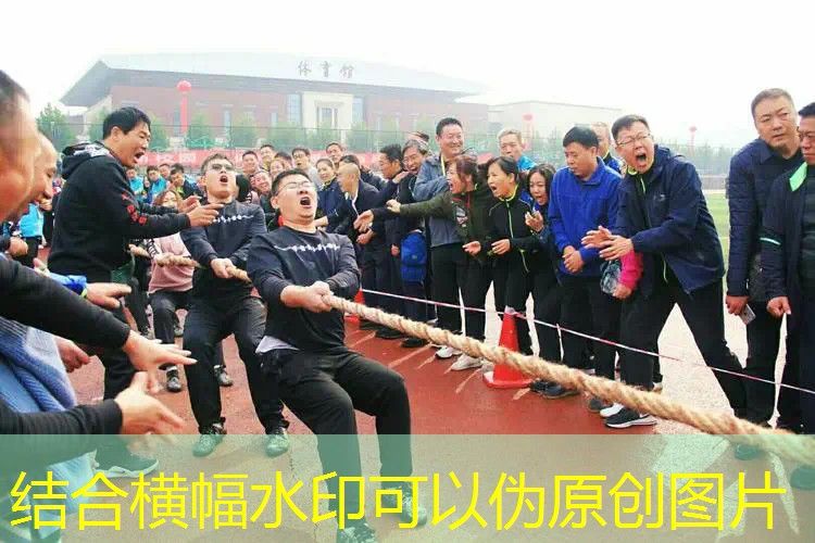 ayx爱游戏：复合碳素一体网球拍
