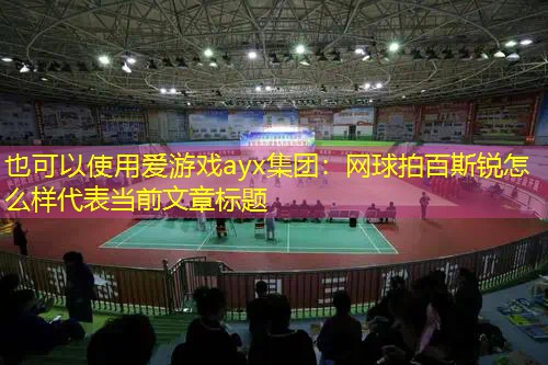 爱游戏ayx集团：网球拍百斯锐怎么样