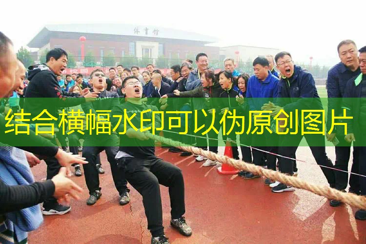 ayx·爱游戏：网球拍紫色成人可以用吗_