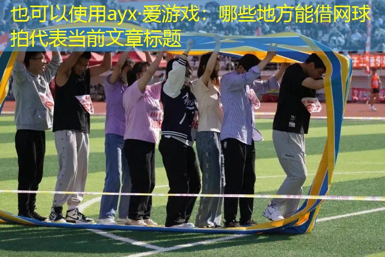 ayx·爱游戏：哪些地方能借网球拍