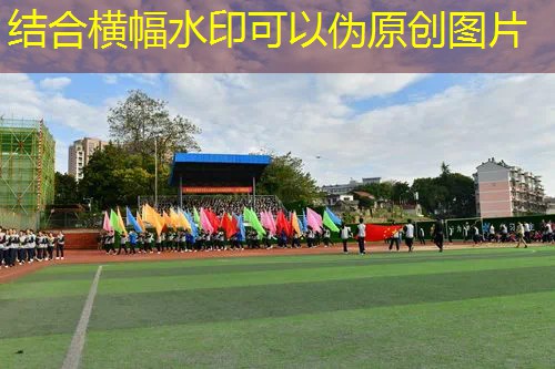 ayx爱游戏：百保力网球拍23年