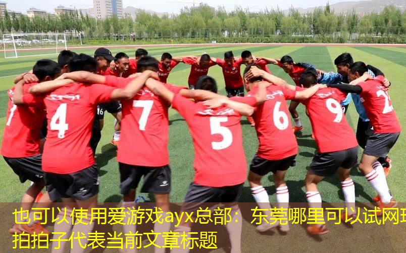 爱游戏ayx总部：东莞哪里可以试网球拍拍子