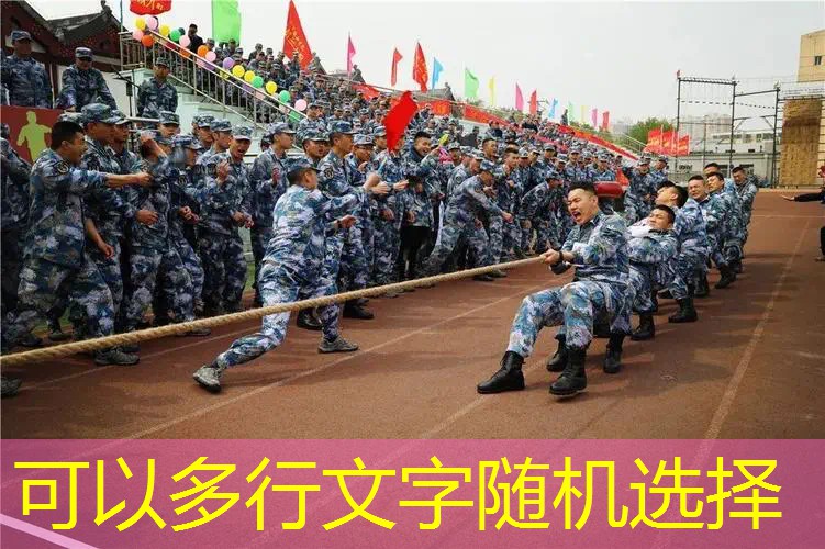 百宝力网球拍25寸