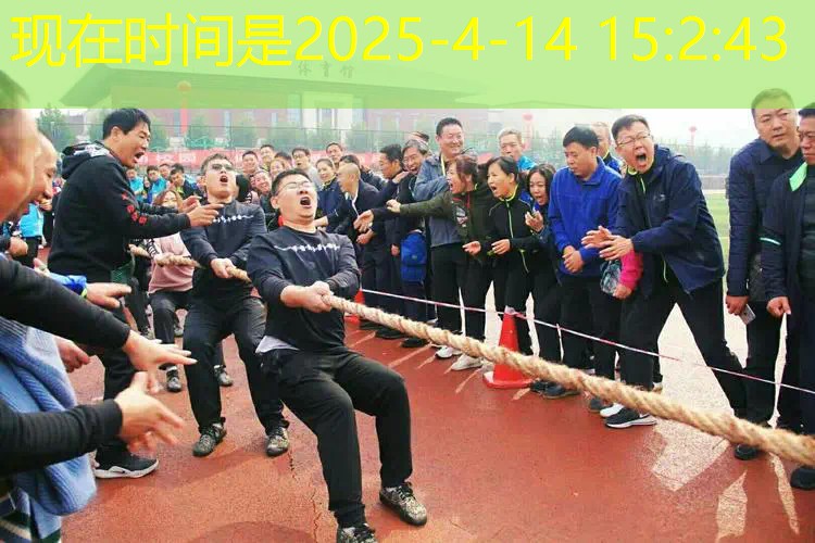 爱游戏ayx集团：各明星所代言的网球拍