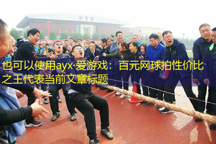 ayx·爱游戏：百元网球拍性价比之王
