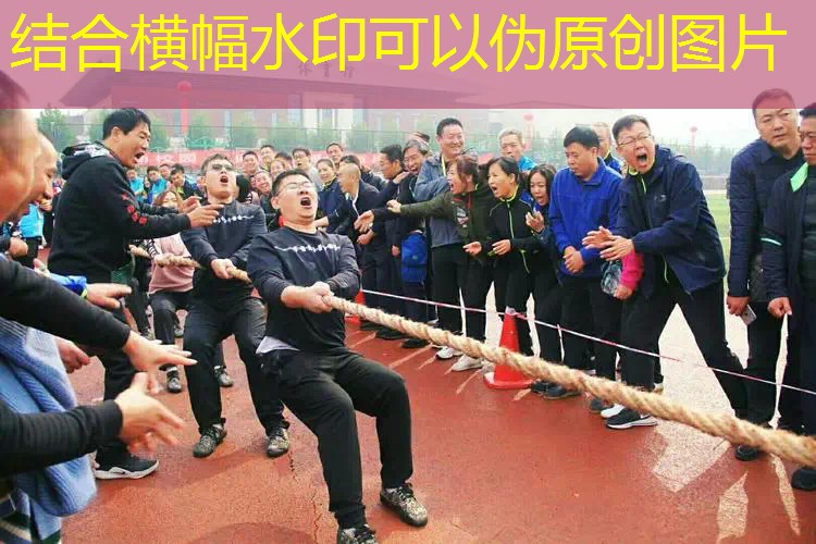 爱游戏ayx官方全站：尺寸小的网球拍有哪些