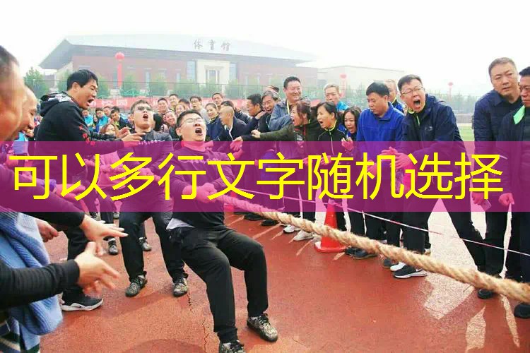 爱游戏ayx集团：森林游戏网球拍在哪