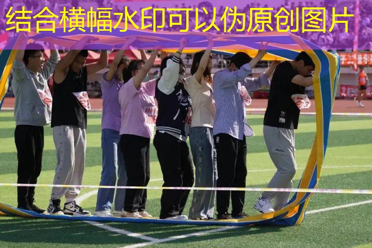 ayx爱游戏：网球拍成人单拍碳素