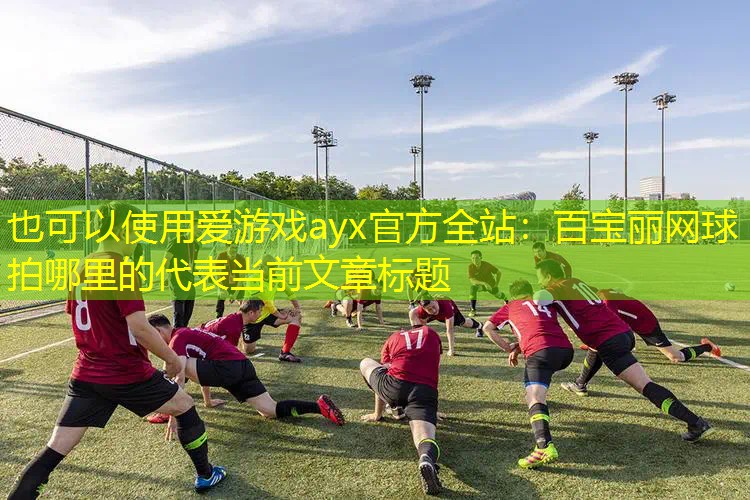 爱游戏ayx官方全站：百宝丽网球拍哪里的