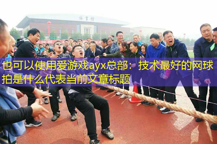 爱游戏ayx总部：技术最好的网球拍是什么