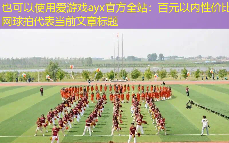 爱游戏ayx官方全站：百元以内性价比网球拍