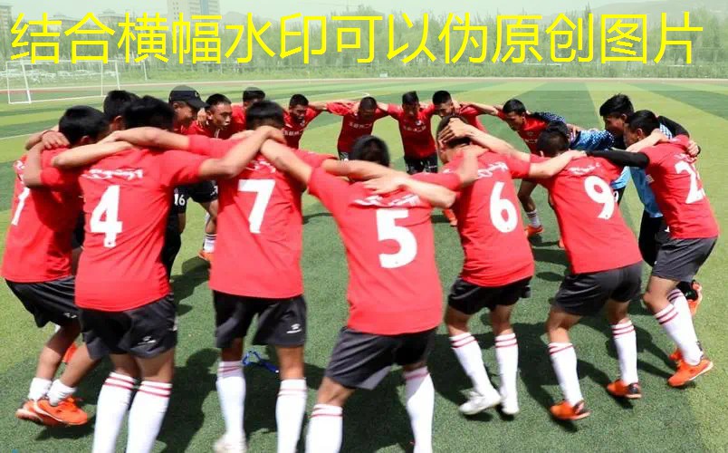 ayx爱游戏公司：王子网球拍有没有高仿款