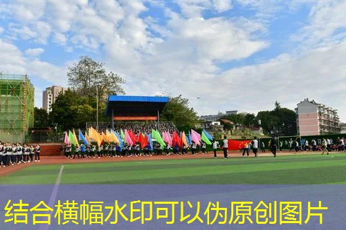 爱游戏ayx总部：百宝力网球拍三包