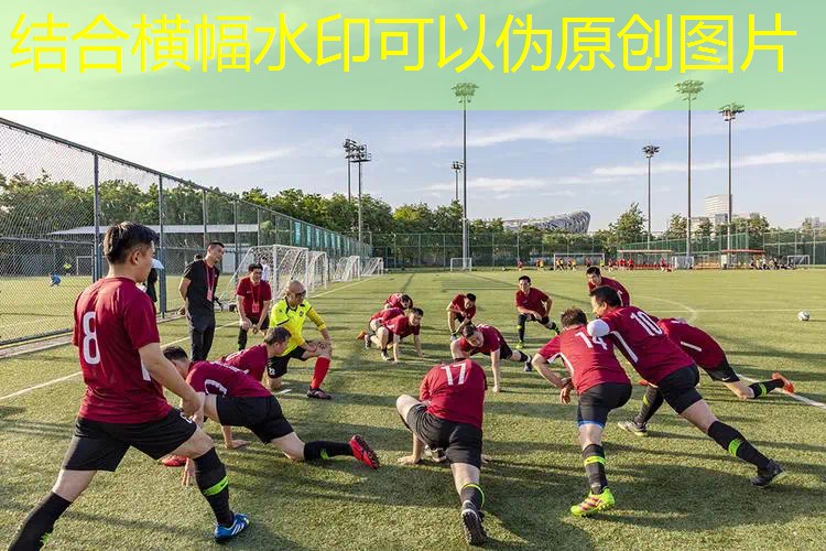 尤里克斯网球拍好用不 尤里克斯网球拍好用不