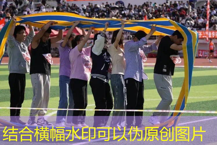 网球拍是单拍还是双排