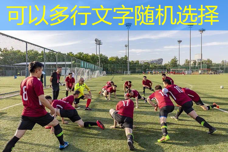 网球拍加拿大国内贵 网球拍加拿大国内贵