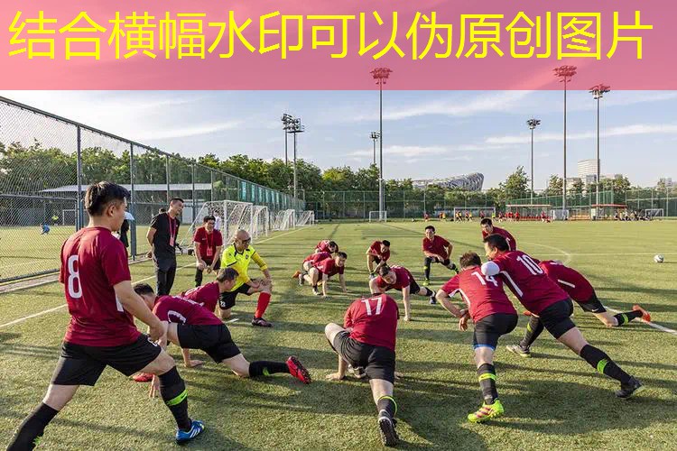 网球拍拍框的截面厚度 网球拍拍框的截面厚度