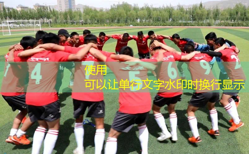 欧帝尔网球拍一体 欧帝尔网球拍一体