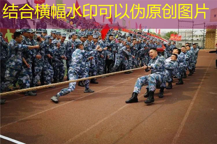 哪种网球拍更好打球的球 哪种网球拍更好打球的球