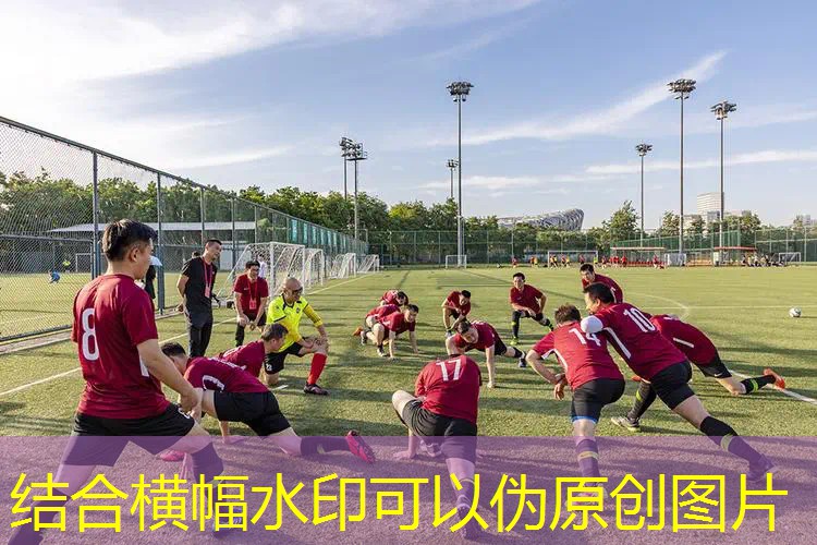 怎么挑网球拍大小的球鞋 怎么挑网球拍大小的球鞋