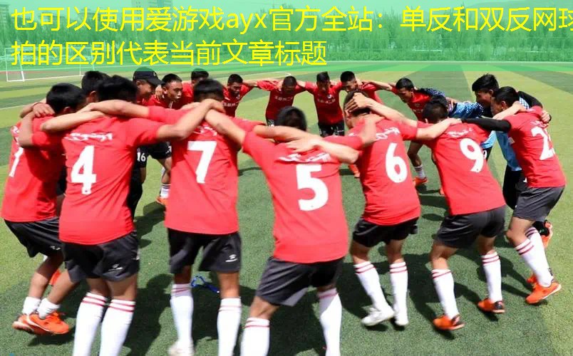 单反和双反网球拍的区别 单反和双反网球拍的区别
