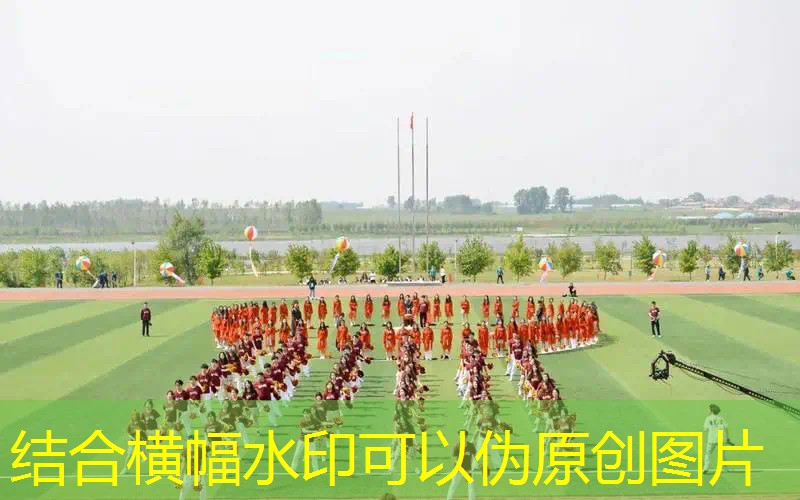 广场舞用的老年网球拍子 广场舞用的老年网球拍子
