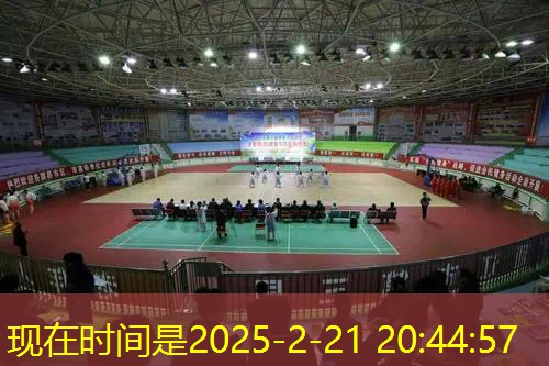 王子网球拍国际版