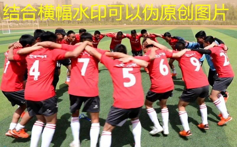 羽毛球拍线径能用网球拍吗_