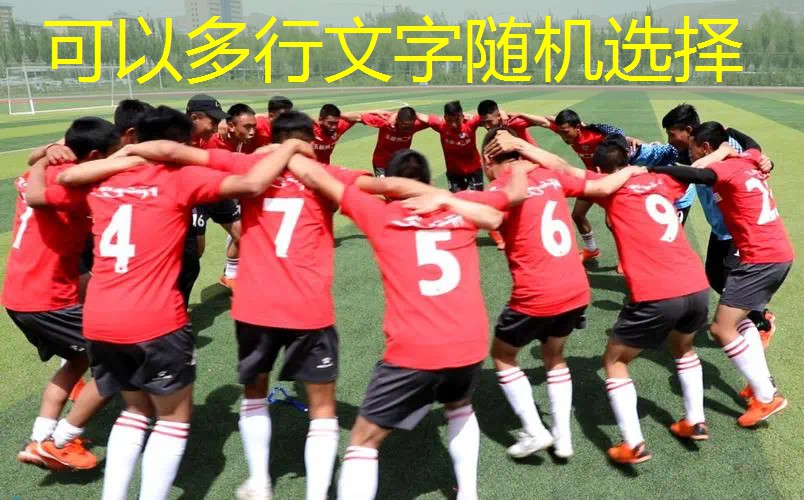 百宝力专业网球拍正品