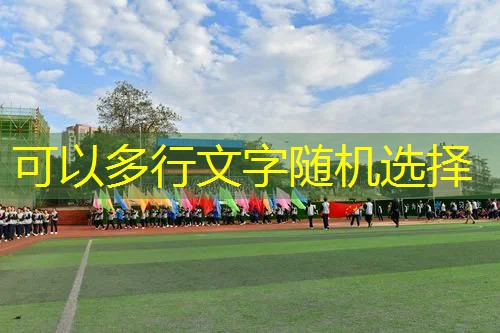 测评平价网球拍的软件叫什么