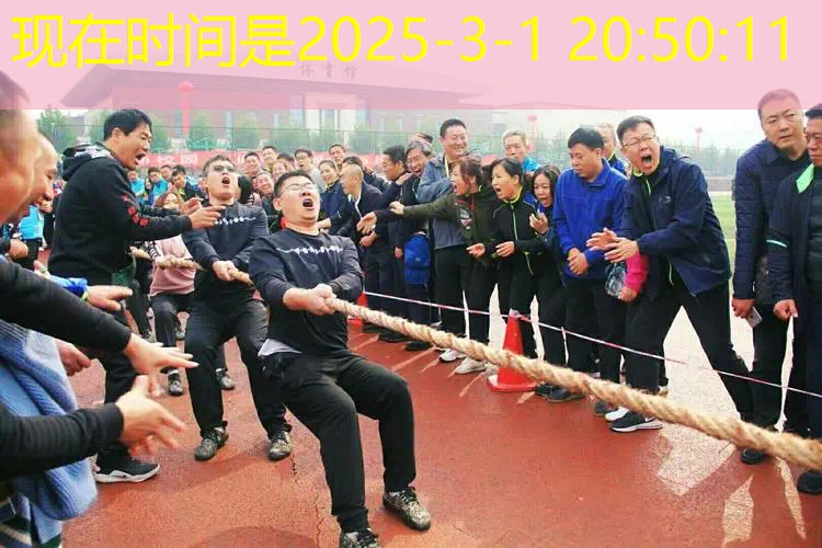 网球拍内部参数设计图 网球拍内部参数设计图