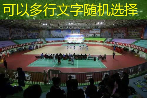 网球拍适用场合有哪些种类