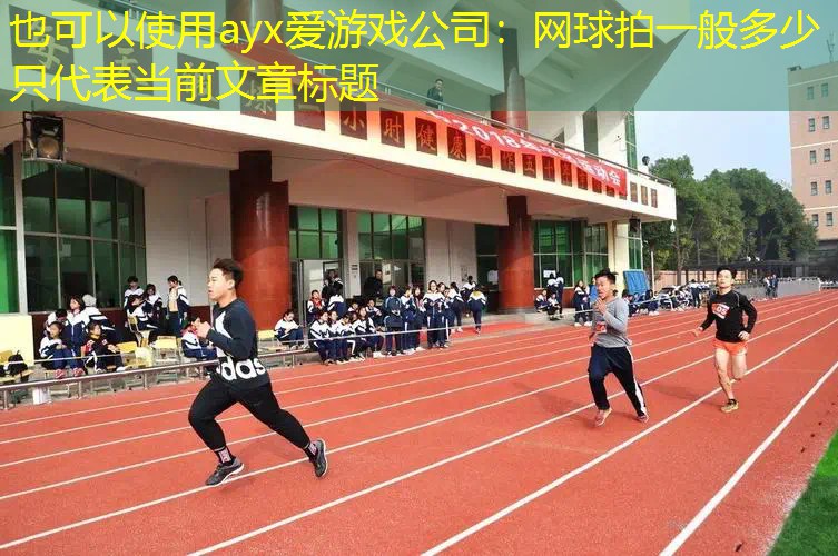 网球拍一般多少只